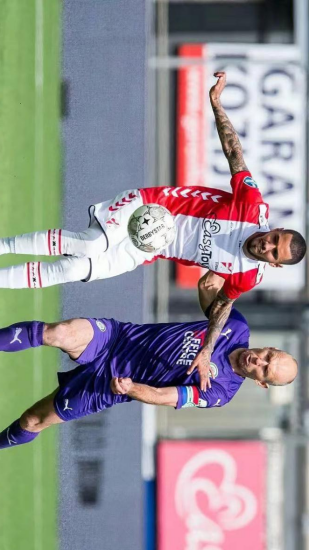 无疑会将此 无疑会将此